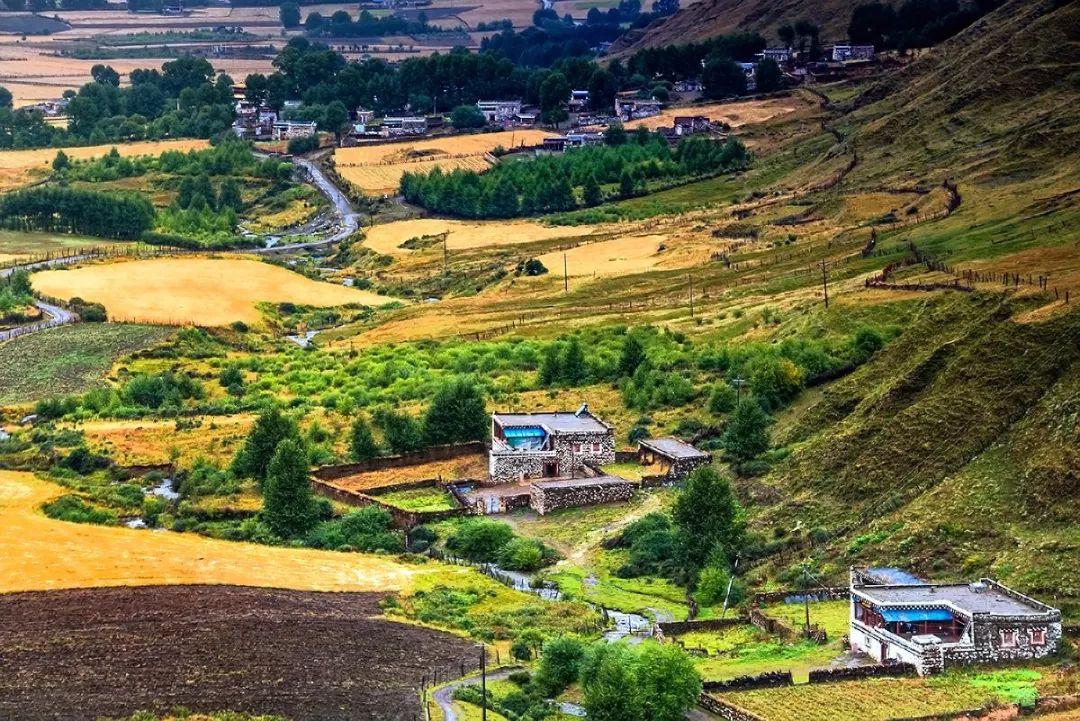 八美镇属于哪个县(八美镇海拔多少米)