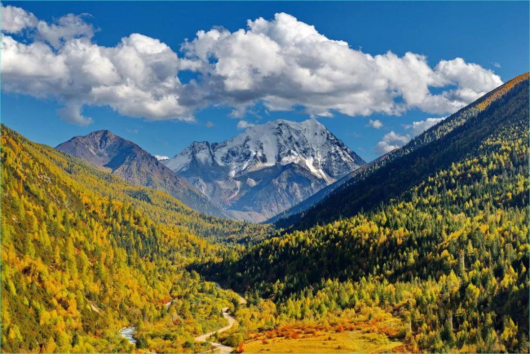 八美镇属于哪个县(八美镇海拔多少米)