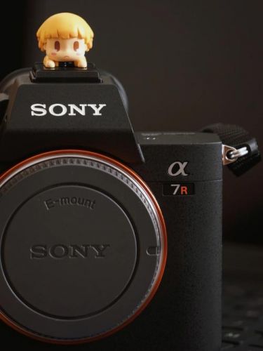 索尼专业摄像机(索尼摄像机配件大全)-第1张图片-