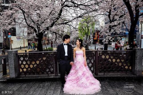 西安薇薇新娘婚纱摄影怎么样(西安薇薇新娘地址和电话)-第1张图片-