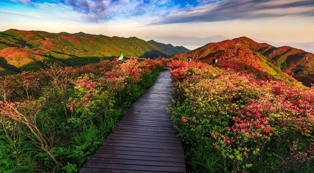 宁乡和浏阳哪个潜力大(浏阳和宁乡哪个发展好)