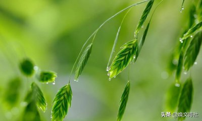 ​春季最后一个节气是什么(二十四节气春季最后一个节气)