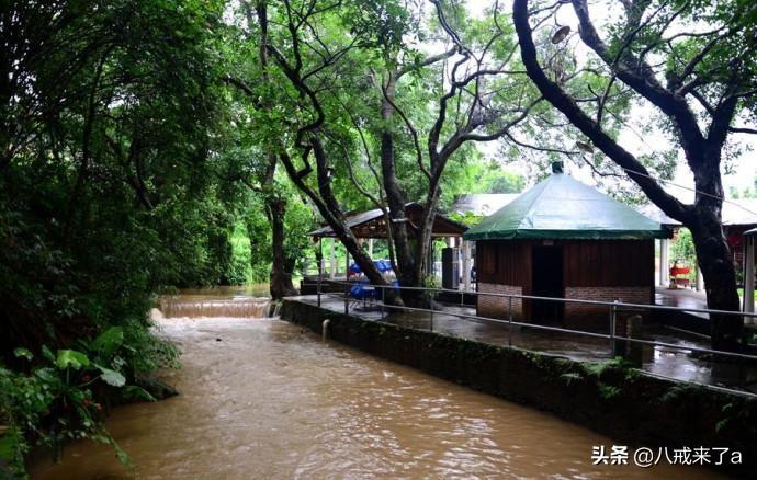 坪山区属于深圳哪个区(深圳坪山区属于哪个区)