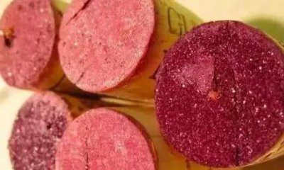 ​自制葡萄酒上面有白毛怎么回事？自制葡萄酒上面有白毛正常吗