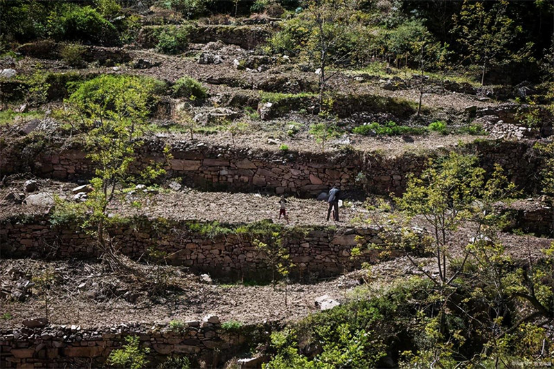 邢台有什么山可以爬(邢台有哪些山可以爬)