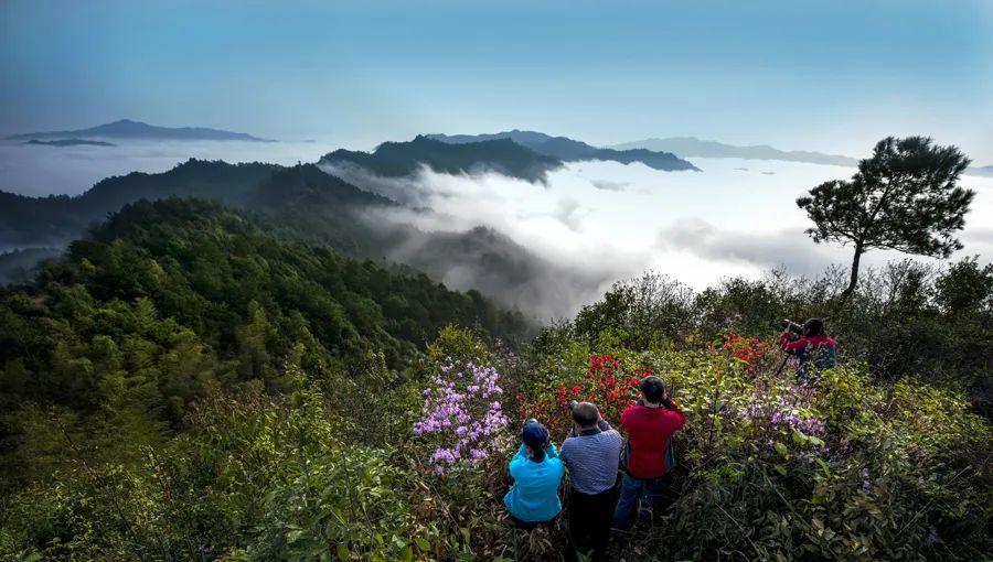 平江县属于哪个市(湖南平江县属于哪个市)
