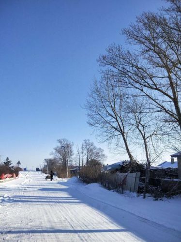 家乡的冬天300字(家乡的冬天英语作文)-第1张图片-