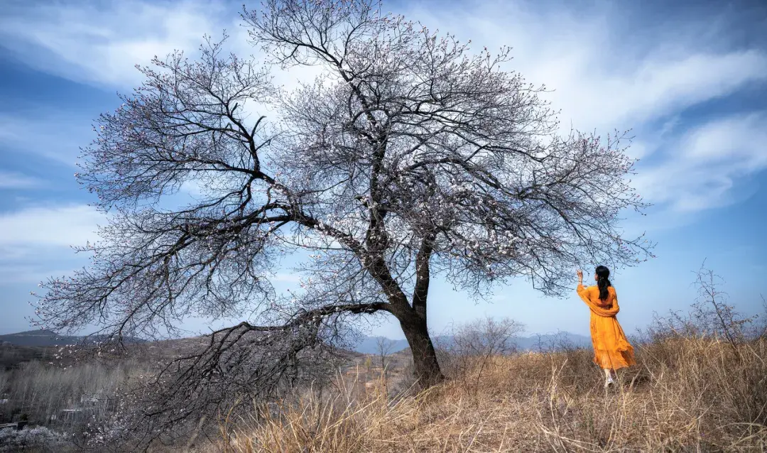 停止精神内耗做有用的事(长期内耗自己太严重了怎么办)