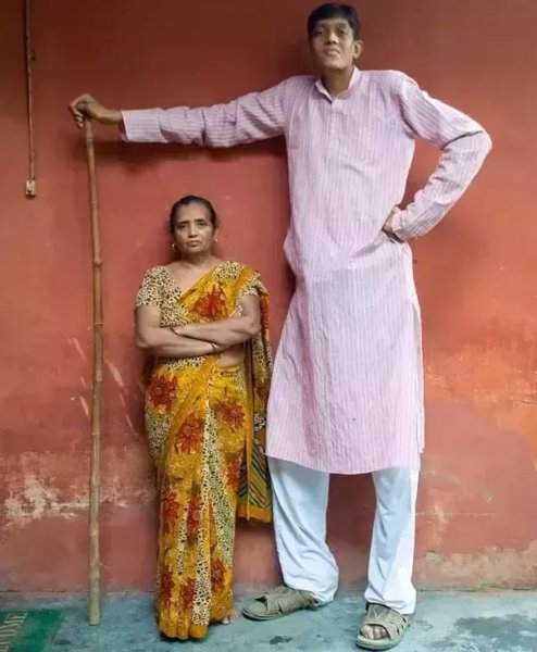 全世界最高的十个人（世界上最高的人叫什么名字）