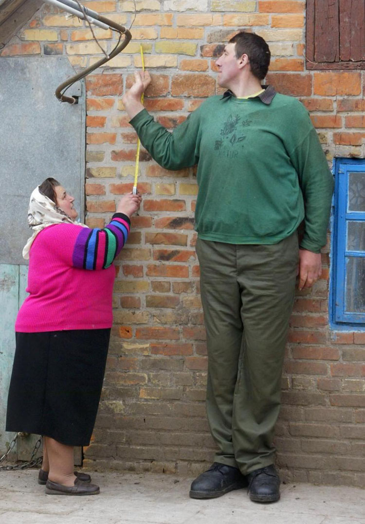 全世界最高的十个人（世界上最高的人叫什么名字）