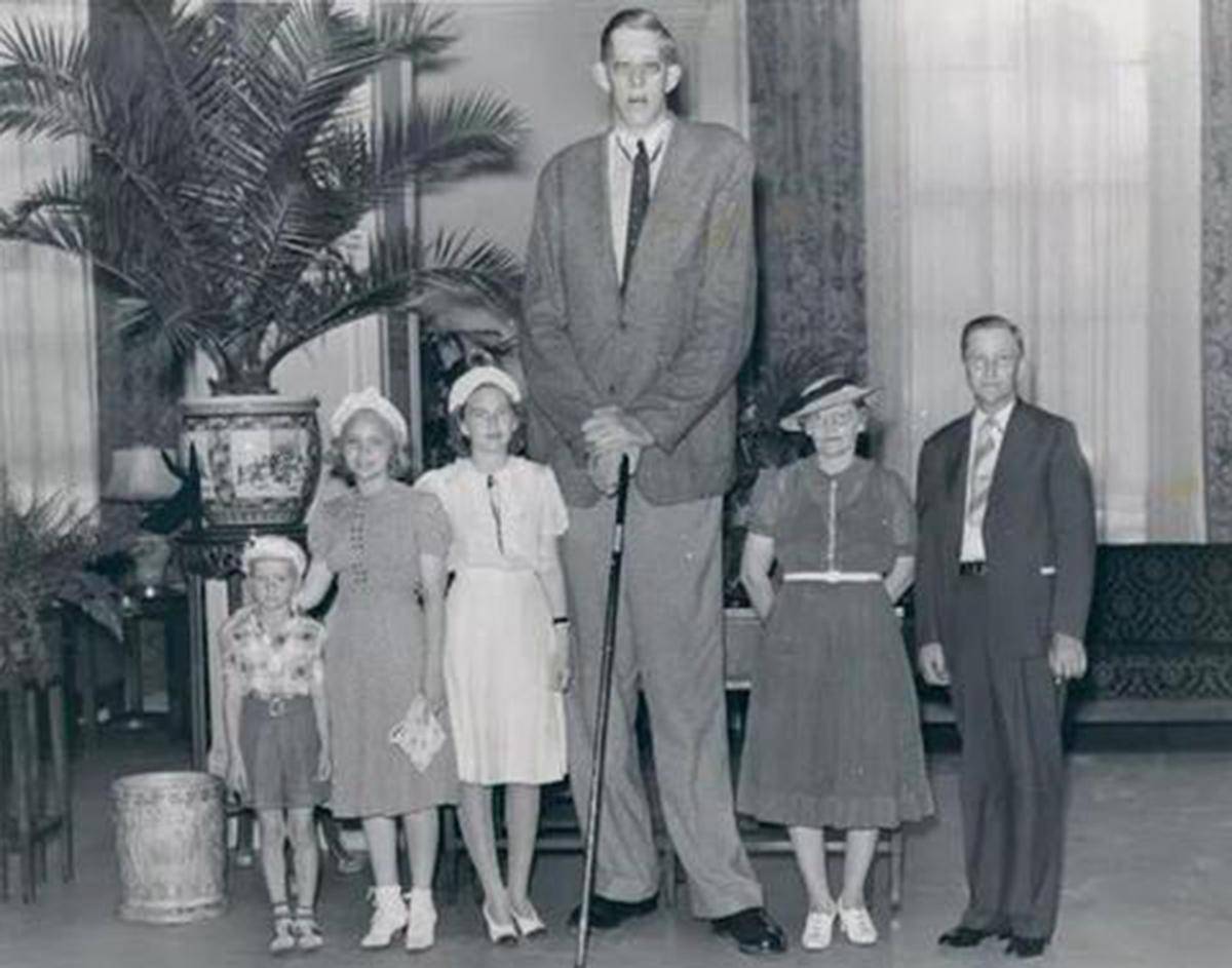 全世界最高的十个人（世界上最高的人叫什么名字）