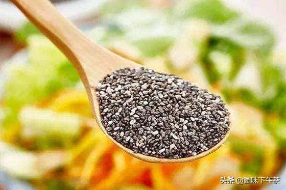 奇亚籽可以每天吃吗-（奇亚籽是什么）