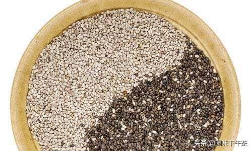 奇亚籽可以每天吃吗-（奇亚籽是什么）