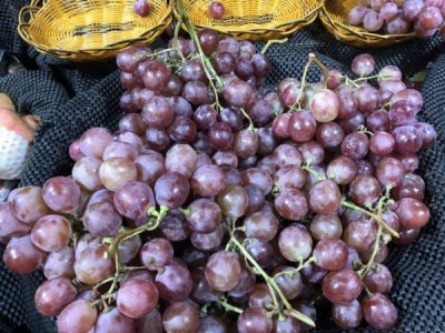 ​夏季葡萄应该怎么保存(大量葡萄怎么保存 *** )