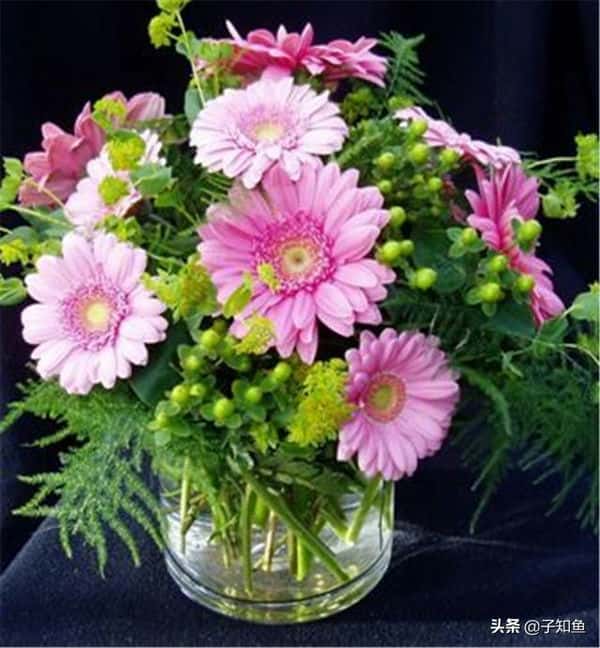 活得精致的星座女（过得很精致的星座女）