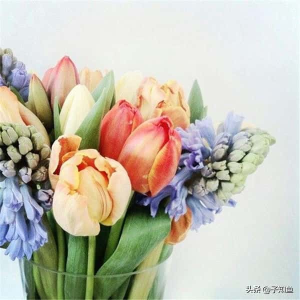 活得精致的星座女（过得很精致的星座女）