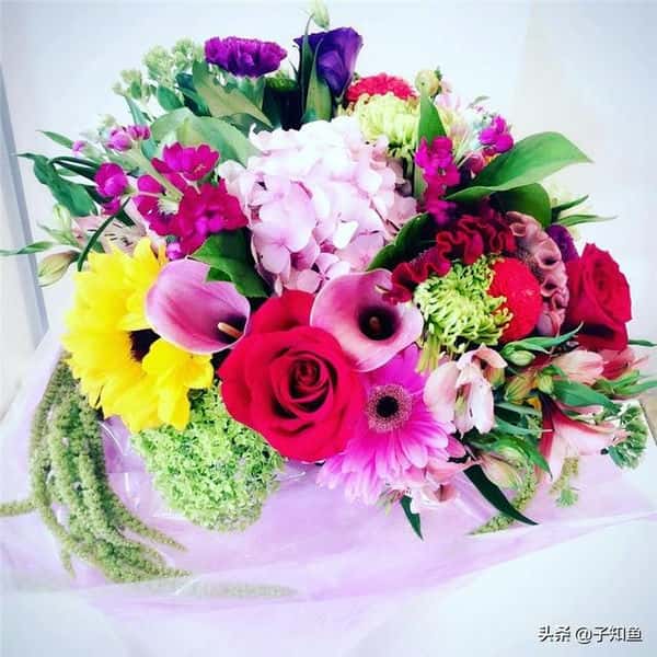 活得精致的星座女（过得很精致的星座女）