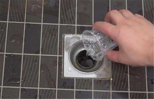 做到这2点就能彻底清除（为什么厕所有小飞虫什么原因）