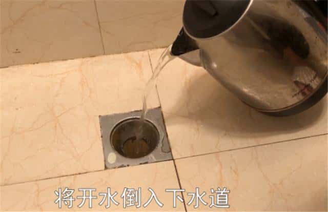 做到这2点就能彻底清除（为什么厕所有小飞虫什么原因）