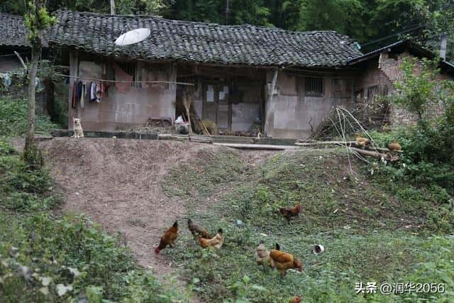 农村五保户申请条件（农村具备什么条件可以申请五保户）