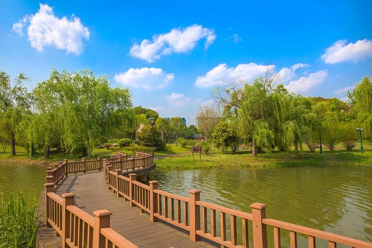 一、东园湿地公园