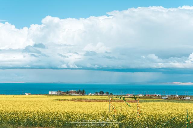 第二天：青海湖-青海湖-青海湖大坝