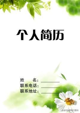 个人简历的自我评价怎么写最好(关于个人简历的自我评价)-第2张图片-