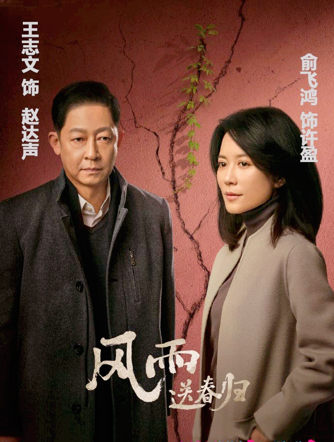 被亲情和婚姻改变的男人----王志文简介