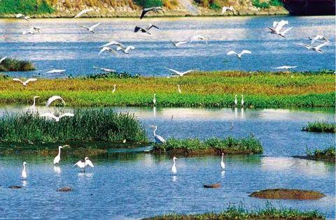 3、濠江湿地公园