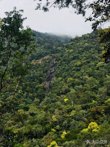 4、五指山自然保护区