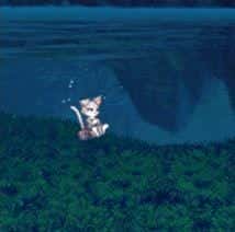 dnf所有宠物外观（dnf可交易宠物排行）