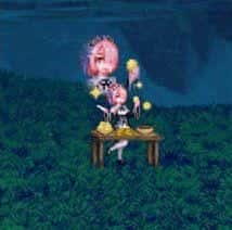 dnf所有宠物外观（dnf可交易宠物排行）