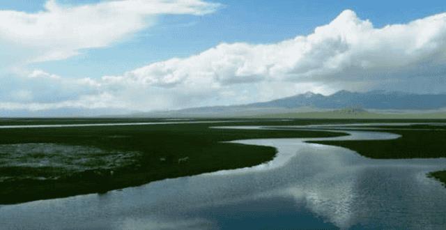 伏尔加河是世界上最长的内流河（世界上最长的内流河）