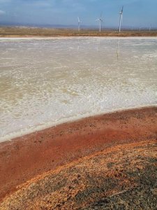 ​阿拉尔哪里好玩的景点