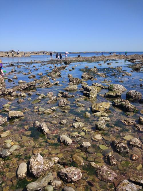 5、大连金石滩大世界游乐园