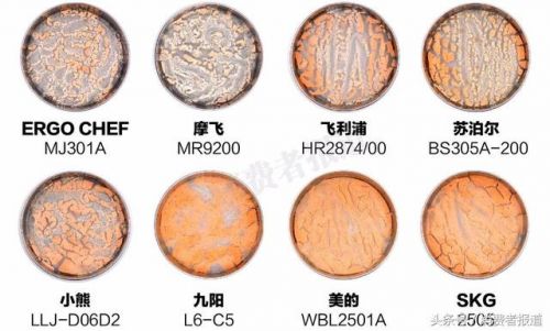 水果榨汁机排行榜(榨汁机排行榜十强)-第2张图片-