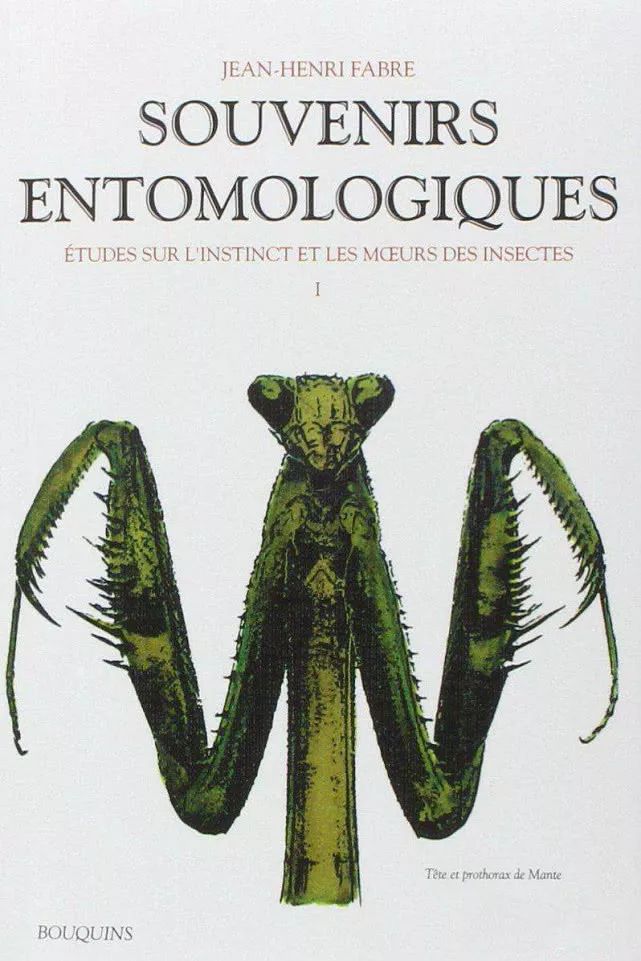 法布尔小传：为了死去的儿子，从56岁写到84岁，完成了一部史诗