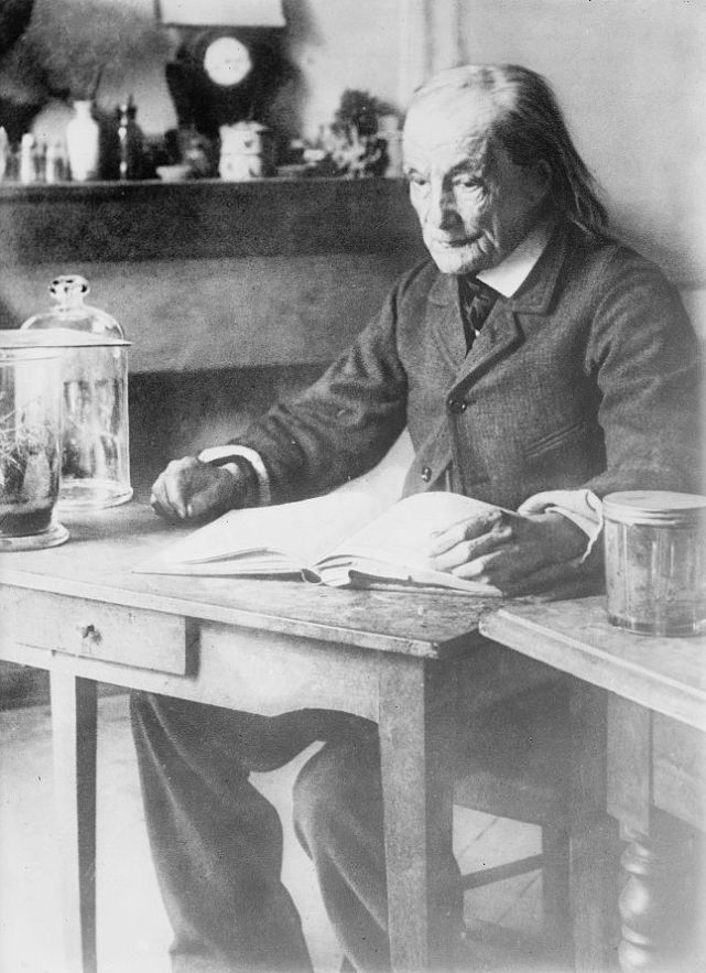 法布尔小传：为了死去的儿子，从56岁写到84岁，完成了一部史诗