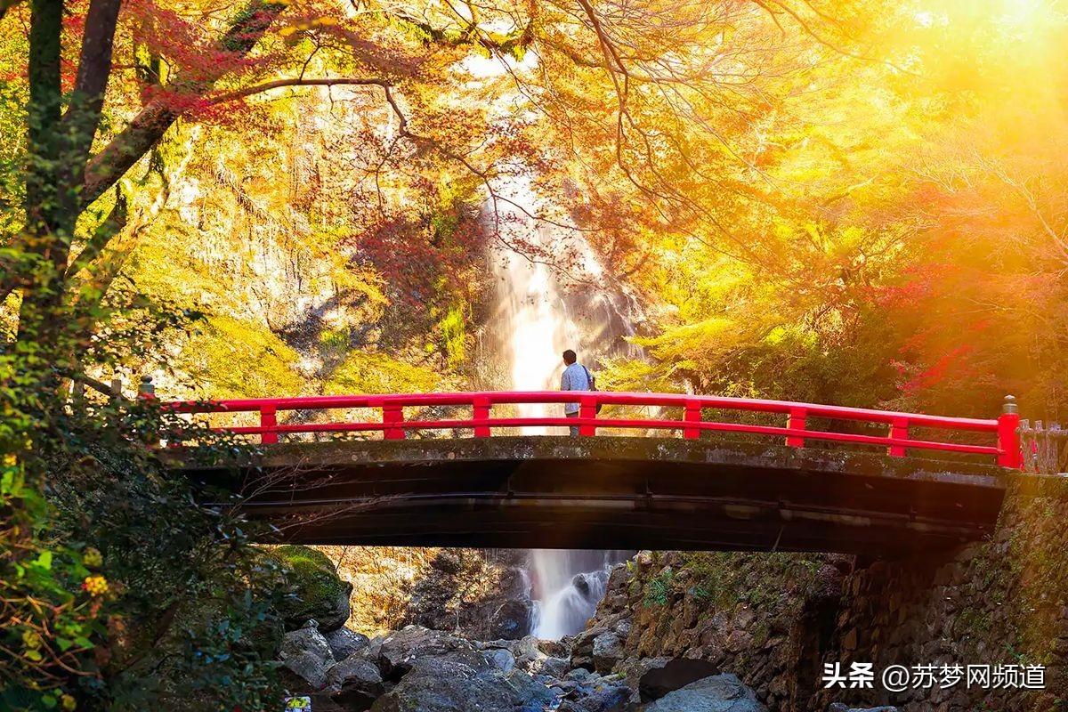 日本大阪是什么城市（osaka是日本哪里）