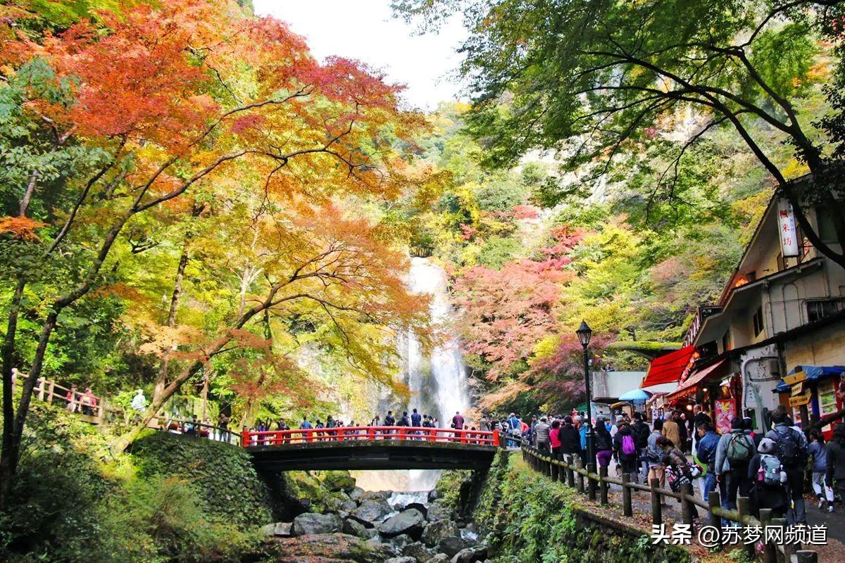 日本大阪是什么城市（osaka是日本哪里）