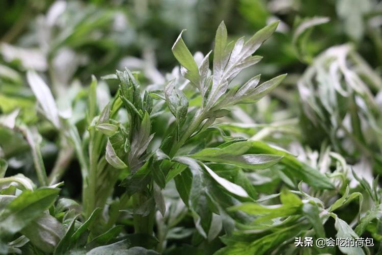 端午节门口挂艾草什么意思怎么放-（门口挂艾草的寓意和象征）