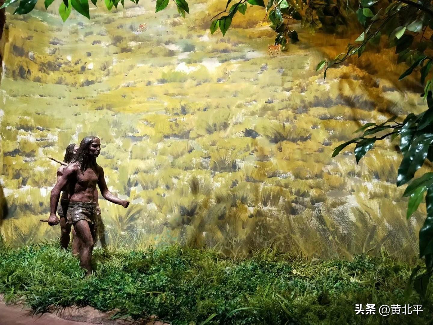 迪庆香格里拉是哪里（香格里拉在哪个省份）