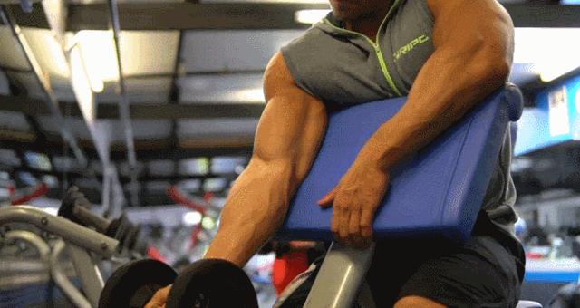 力量训练无器材（无器械上肢力量训练有哪些）