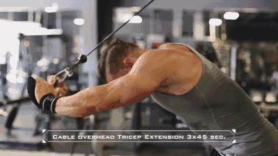 力量训练无器材（无器械上肢力量训练有哪些）