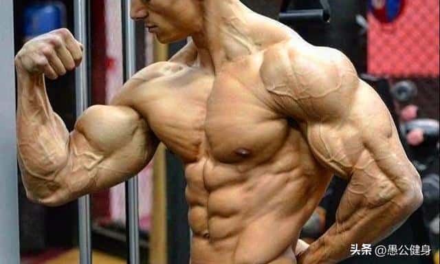 力量训练无器材（无器械上肢力量训练有哪些）