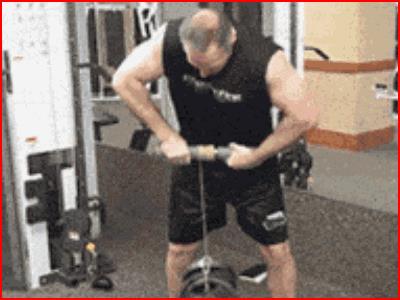 力量训练无器材（无器械上肢力量训练有哪些）