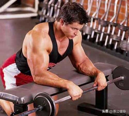 力量训练无器材（无器械上肢力量训练有哪些）