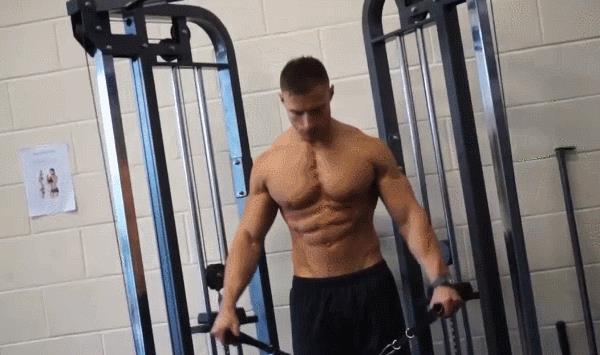 力量训练无器材（无器械上肢力量训练有哪些）