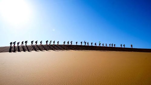 5、去锡林郭勒盟后不要急着走出沙漠，要继续往前走。