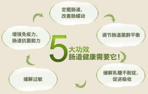 老年人奶粉哪种最好？老年人奶粉补钙哪种最好-第1张图片-